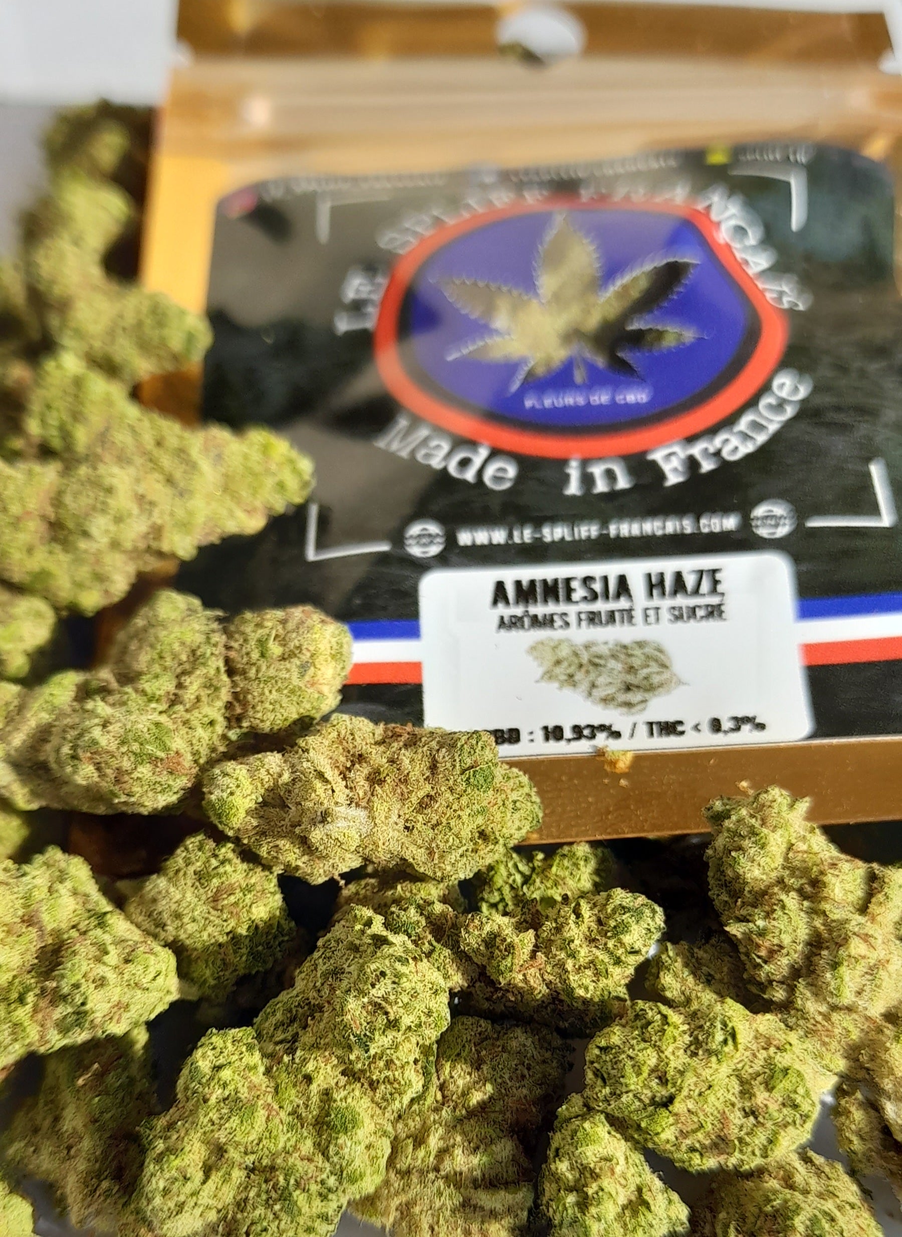 AMNÉSIA HAZE