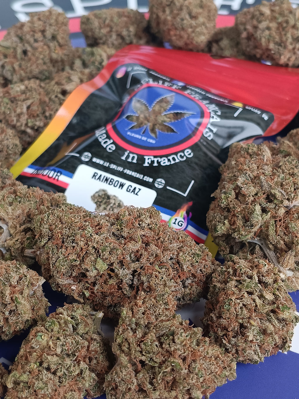 PACK DÉCOUVERTE FLEURS INDOOR