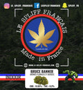 Bruce Banner
