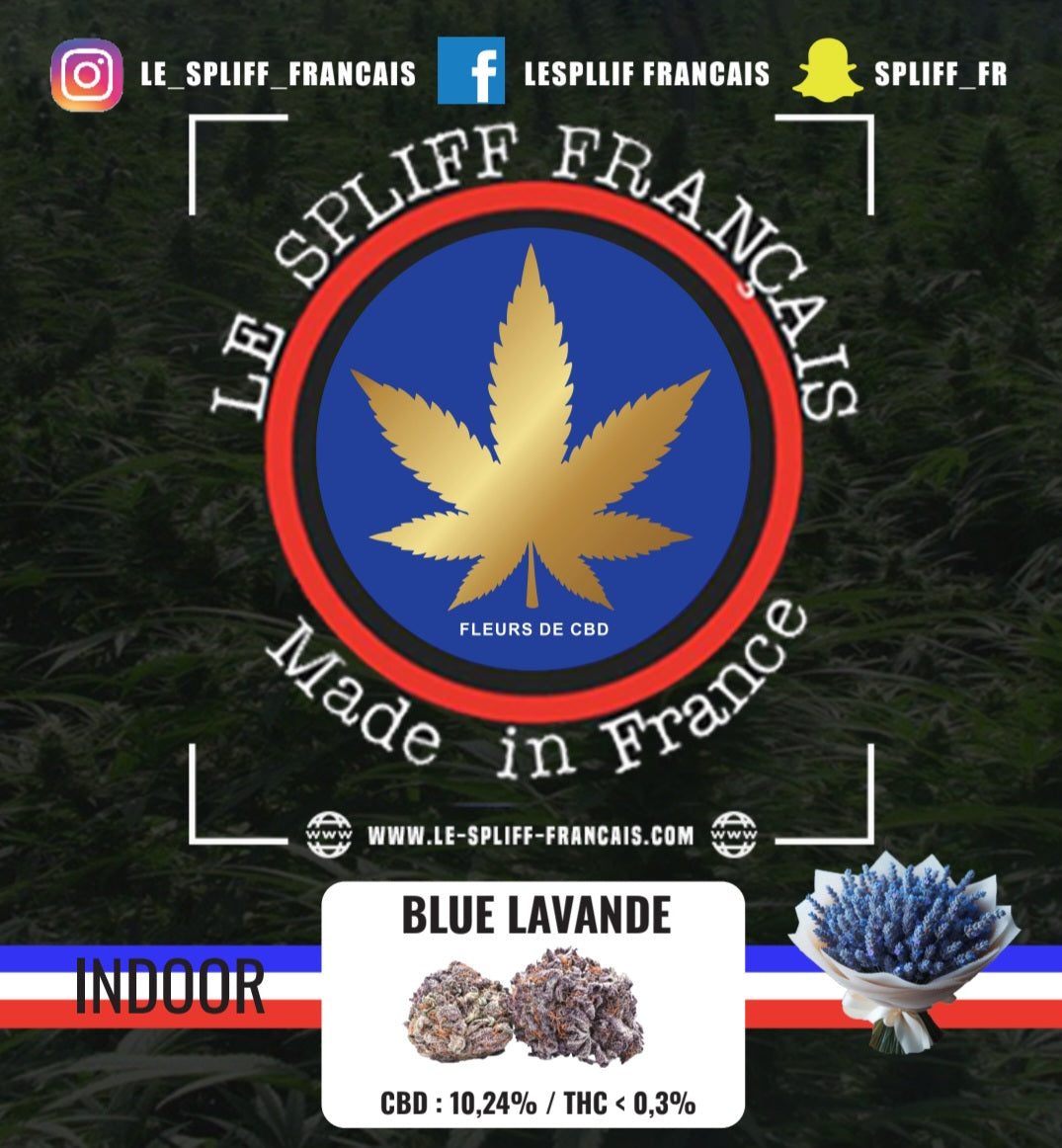 PACK DÉCOUVERTE FLEURS INDOOR