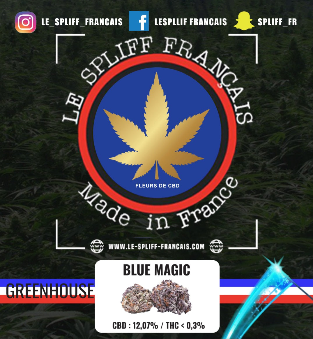 BLUE MAGIC (GREENHOUSE)