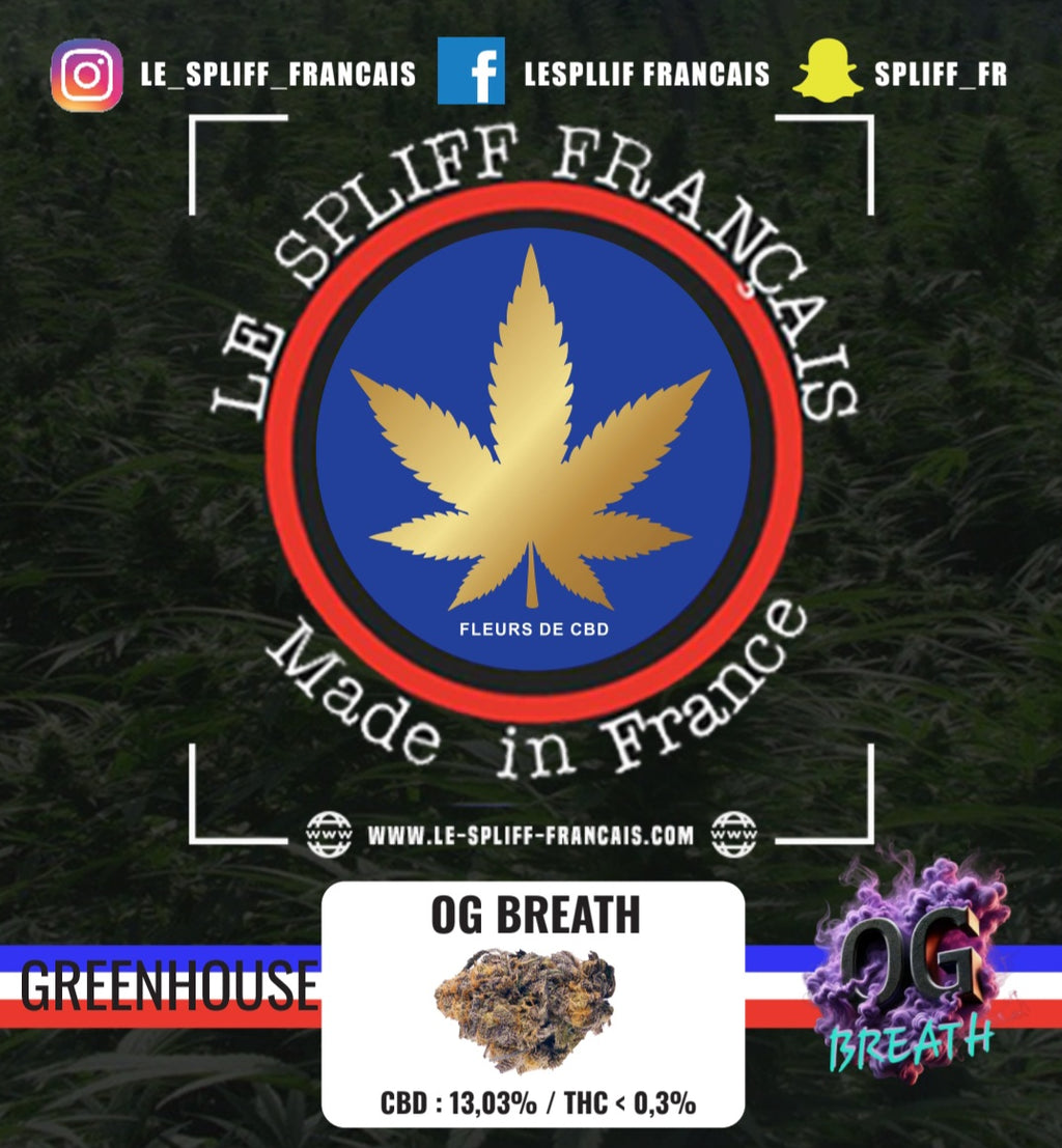 OG BREATH (GREENHOUSE)