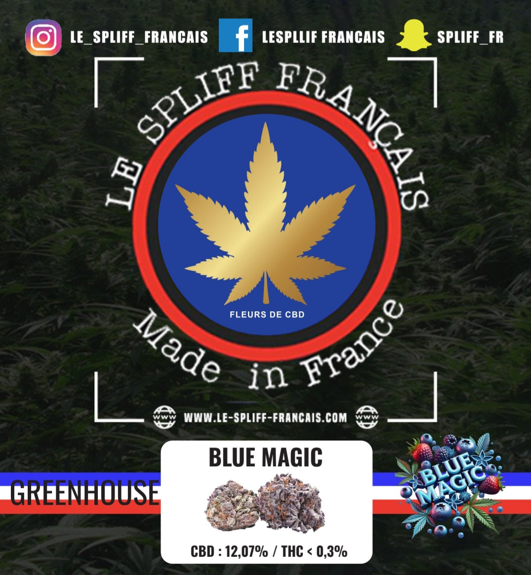 BLUE MAGIC (GREENHOUSE)