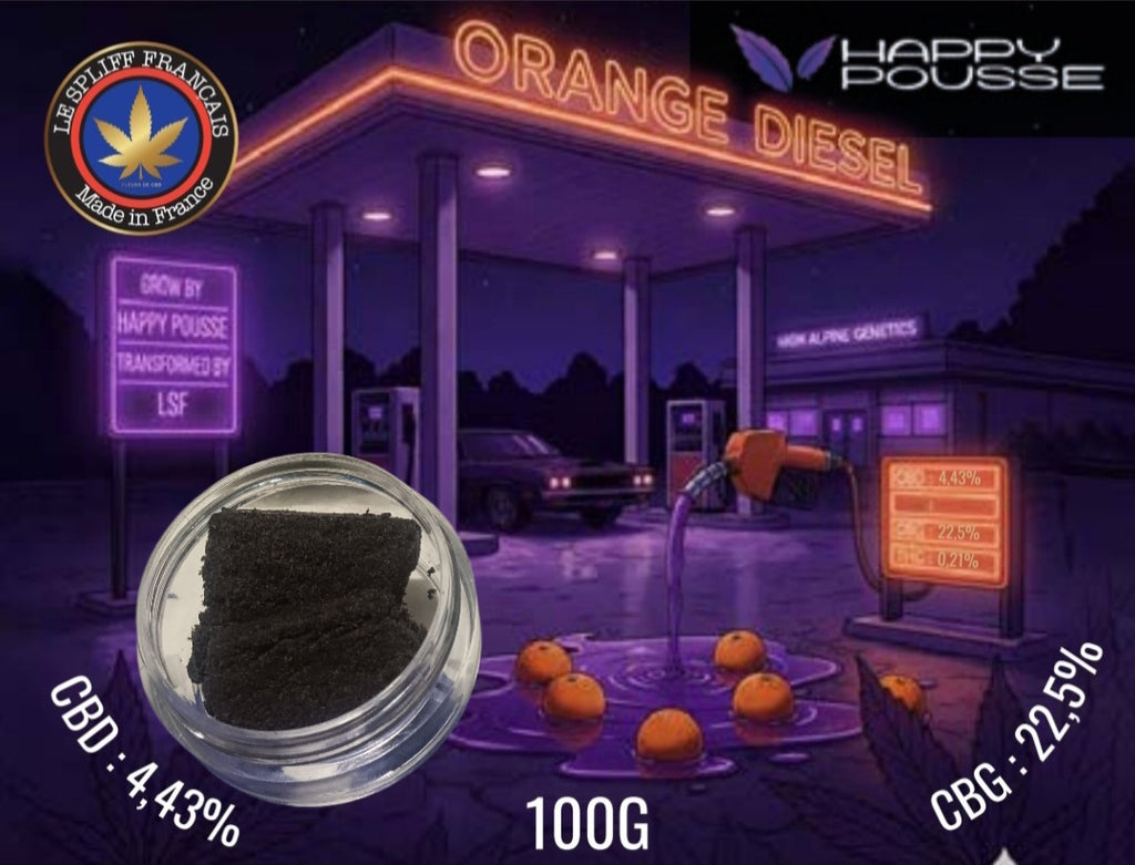 HASH DRY ORANGE DIESEL 🍊⛽️