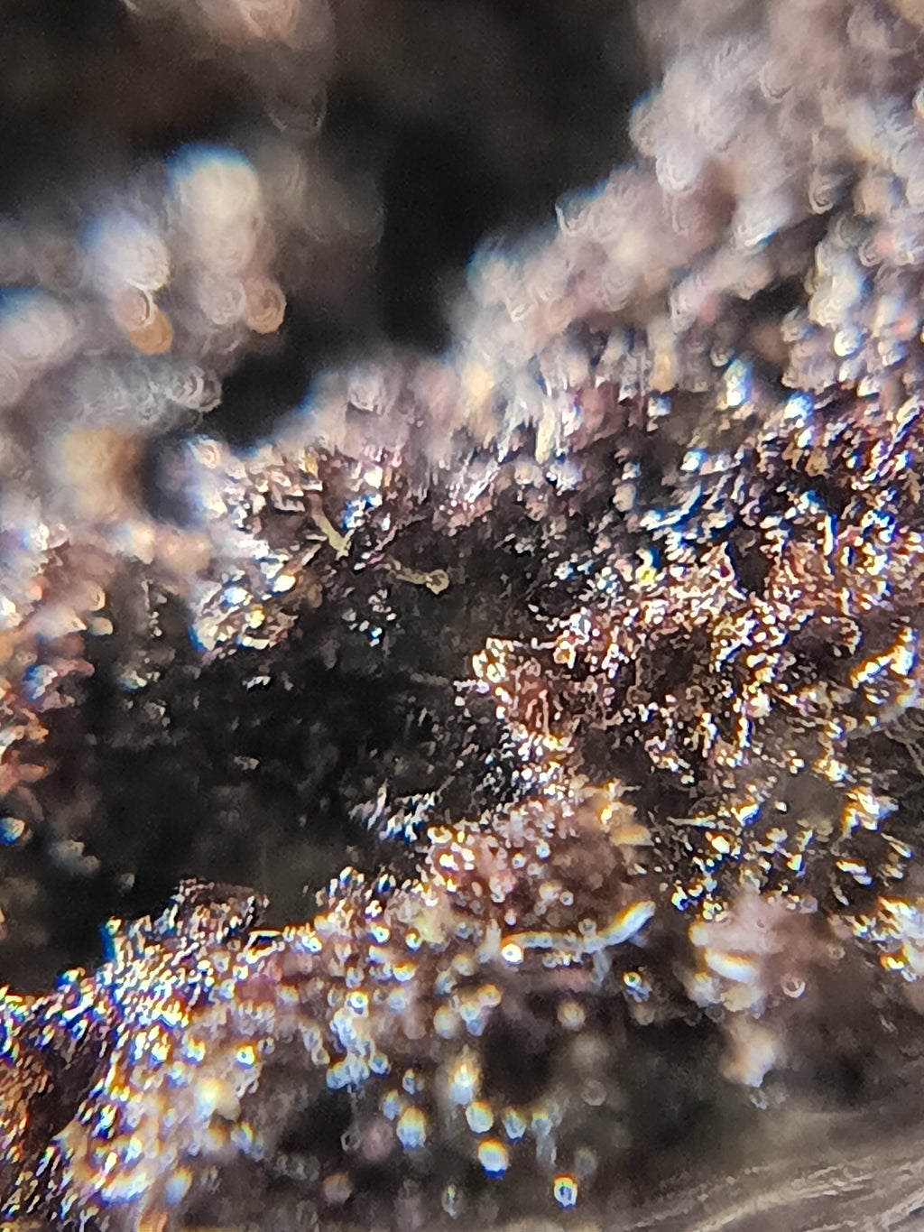 HASH DRY ORANGE DIESEL 🍊⛽️