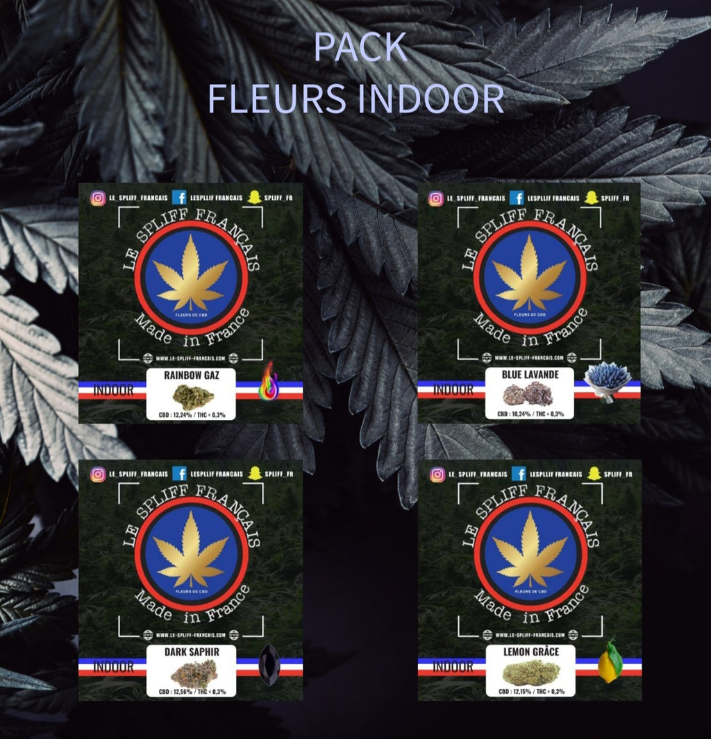 PACK DÉCOUVERTE FLEURS INDOOR