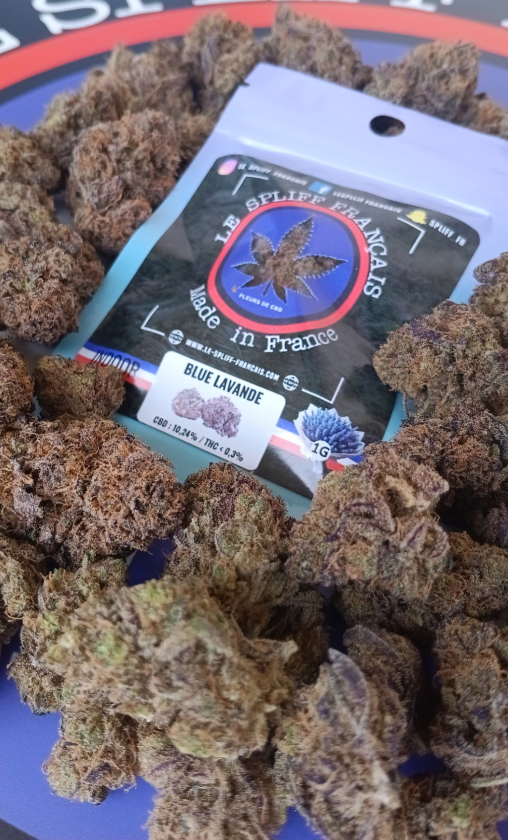 PACK DÉCOUVERTE FLEURS INDOOR