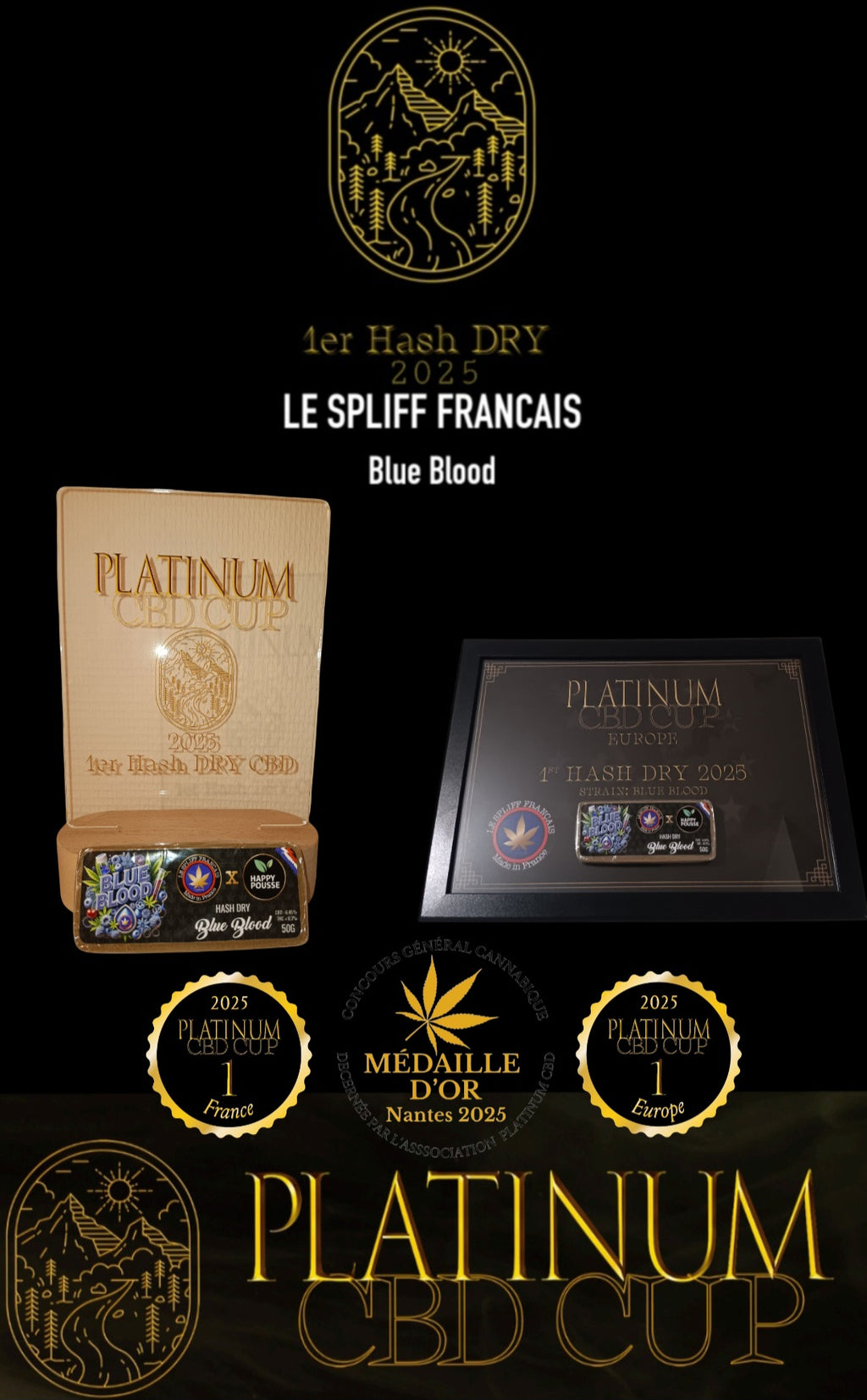 BLUE BLOOD 🥇🥇🏅 (HASH DRY)