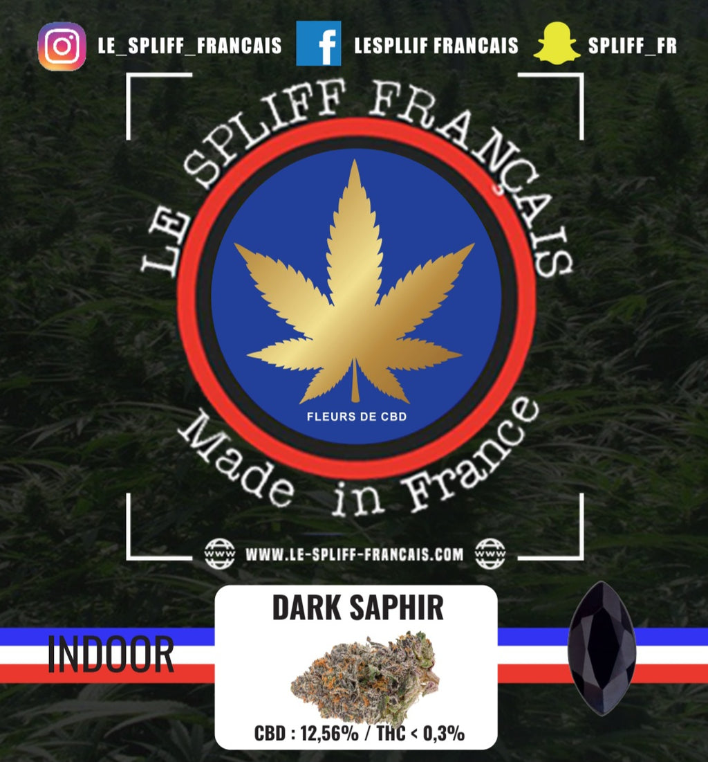 PACK DÉCOUVERTE FLEURS INDOOR