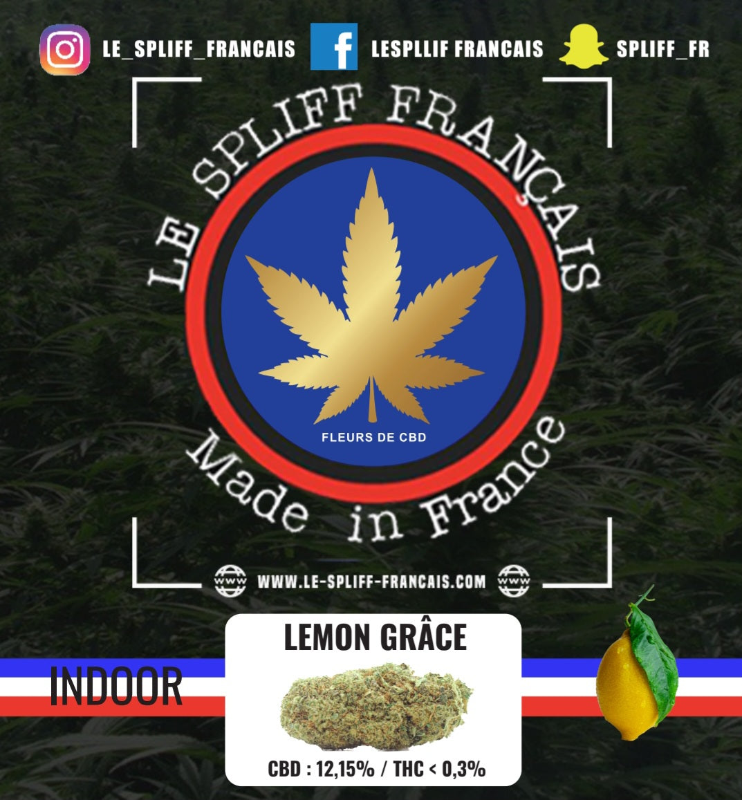 PACK DÉCOUVERTE FLEURS INDOOR