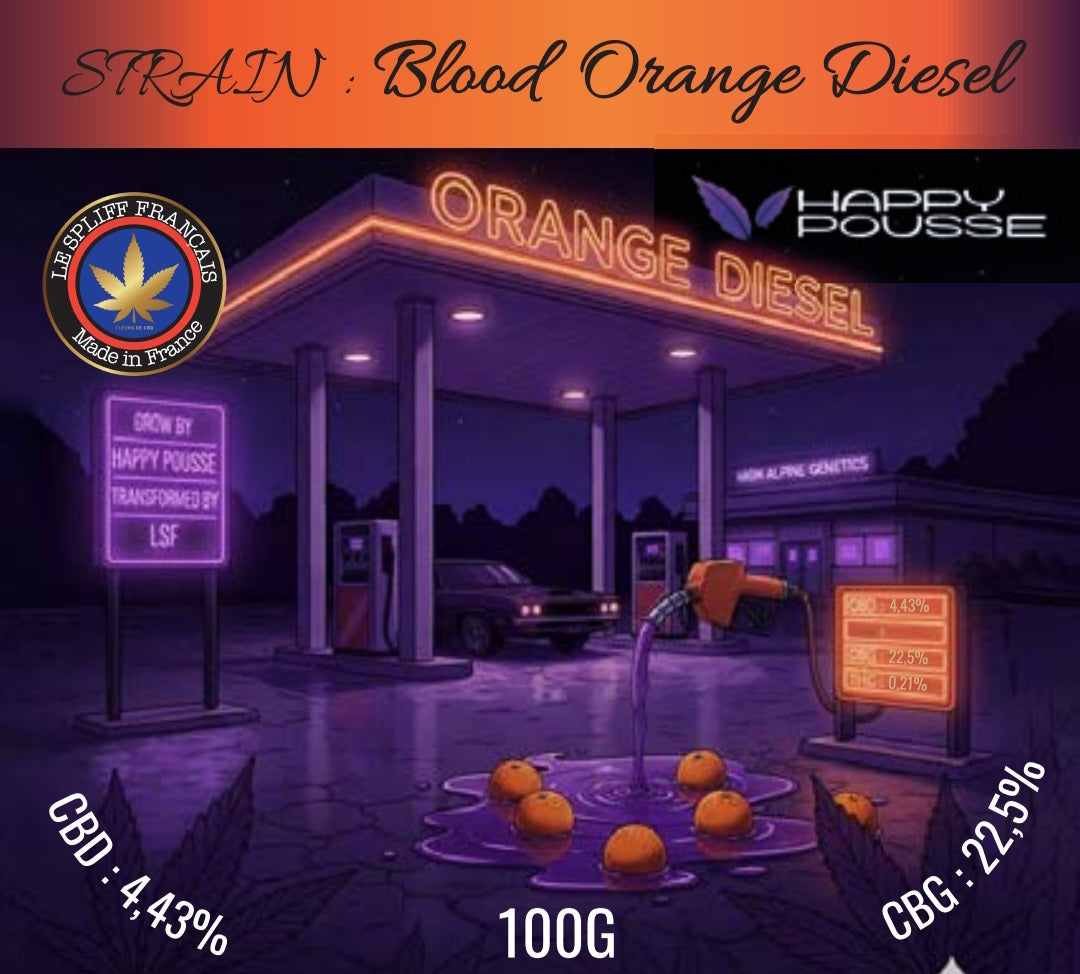 ORANGE DIESEL 🍊⛽️