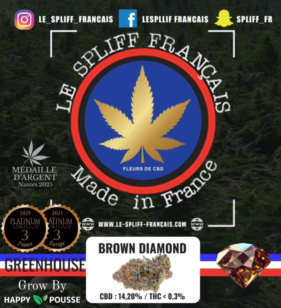 BROWN DIAMOND (GREENHOUSE) 🥈🥉🥉