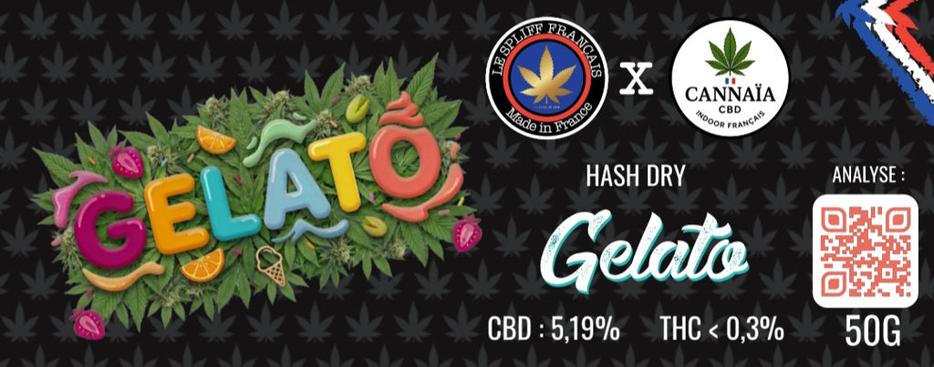 HASH DRY GELATO 🍦