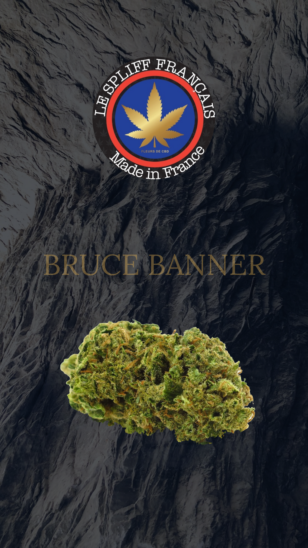 Bruce Banner