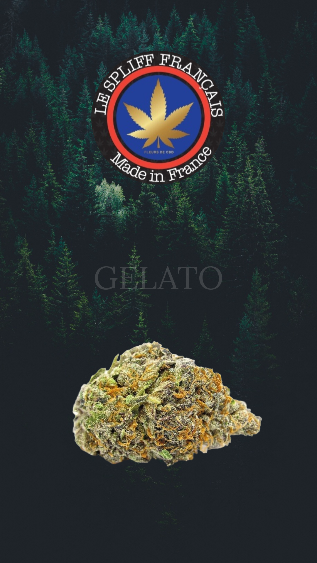 GELATO